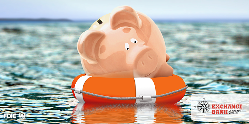 Save $1,000 Toward Your Emergency Fund Before June