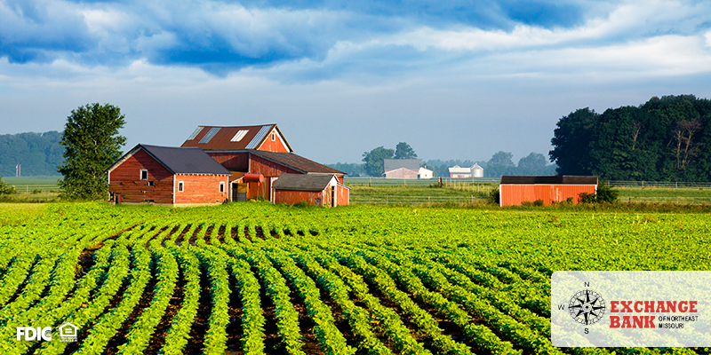 Soybeans by the Numbers