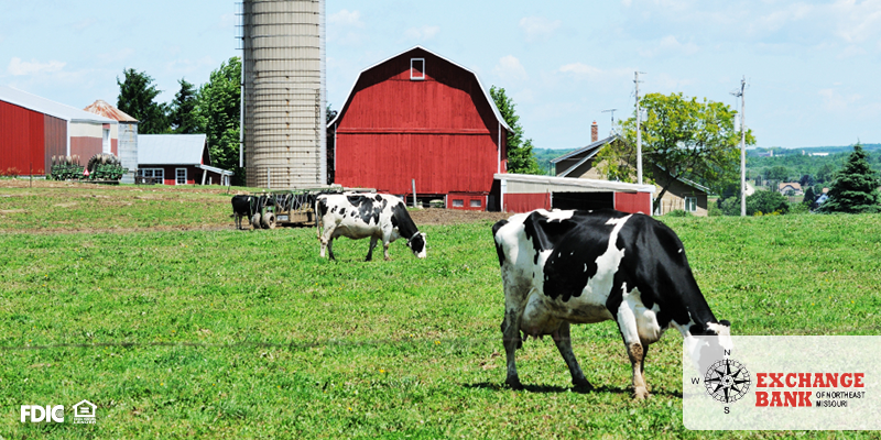 5 Money Lessons You Learn Growing Up on a Farm